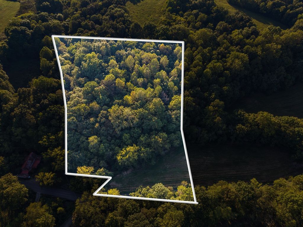 4 Shelter Branch, Charlotte