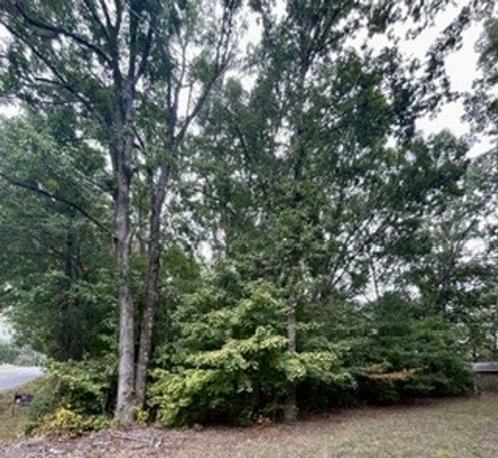 0 N Hummingbird Ln N, Dickson