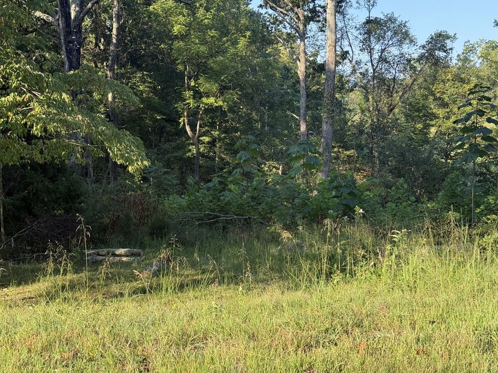 1190 Bell Hollow Rd, Vanleer