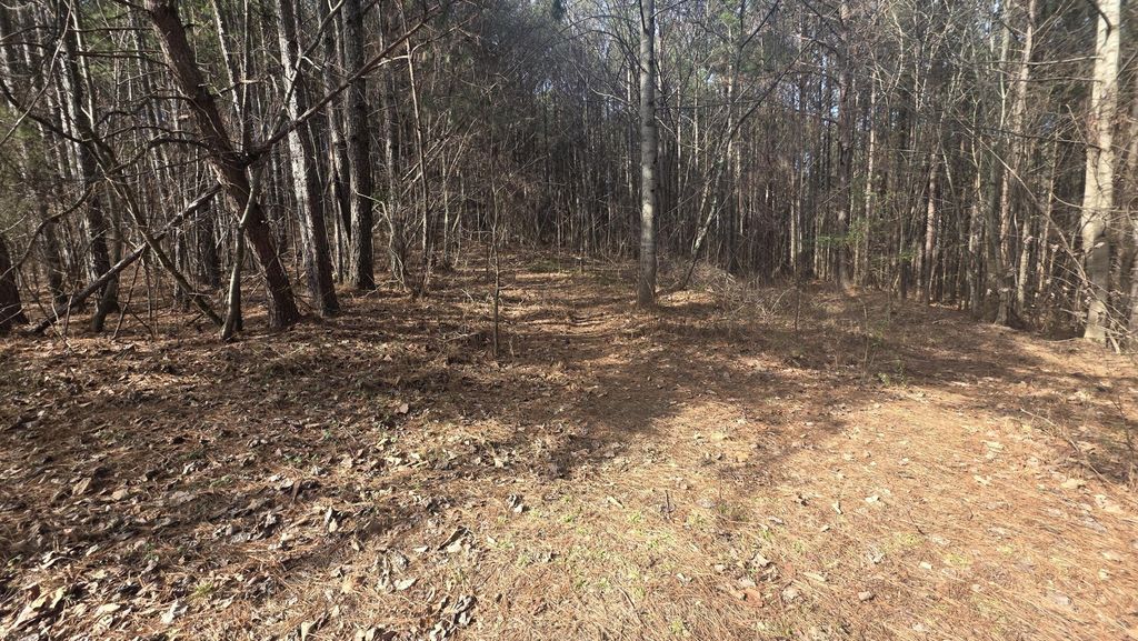 180 Rock Creek Drive, Old Fort