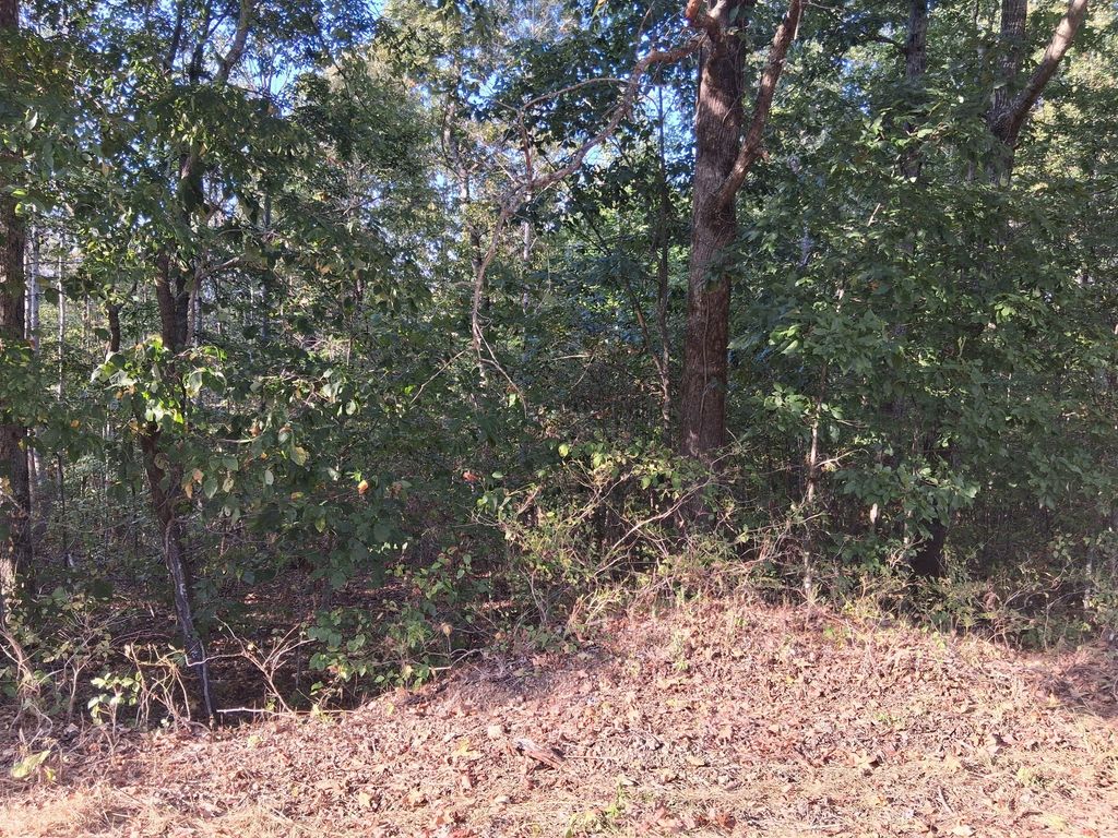 6080 Halls Creek Rd, Waverly