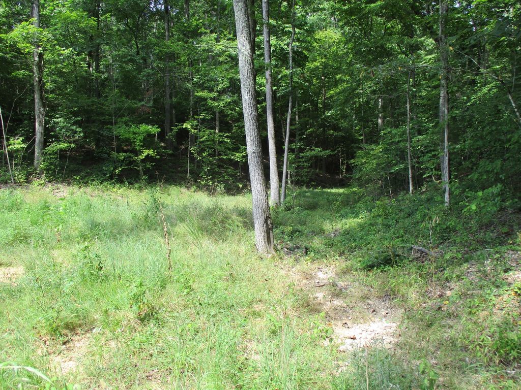 1613 Red Bank Creek Rd, Lobelville