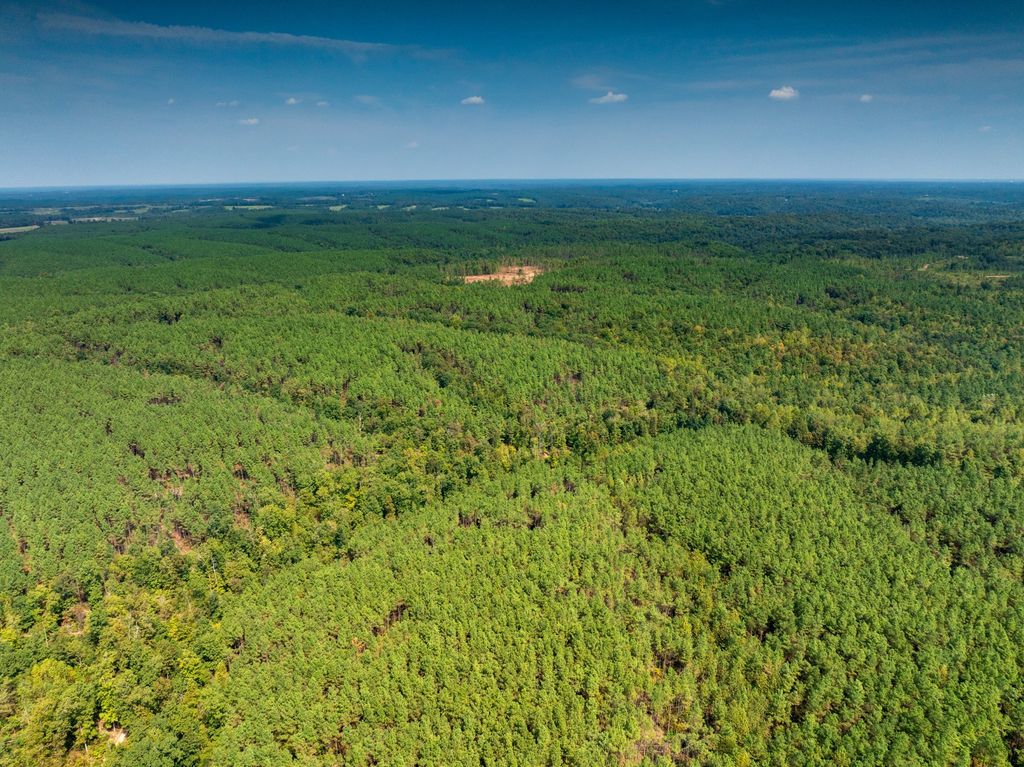 179 Wr Klippel Rd, Hohenwald