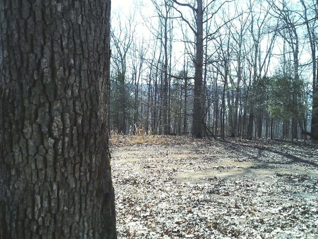 0 Eaglet Ct, Dover