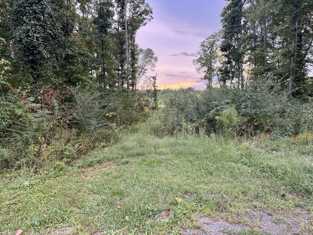 802 Arwine Rd, Decatur
