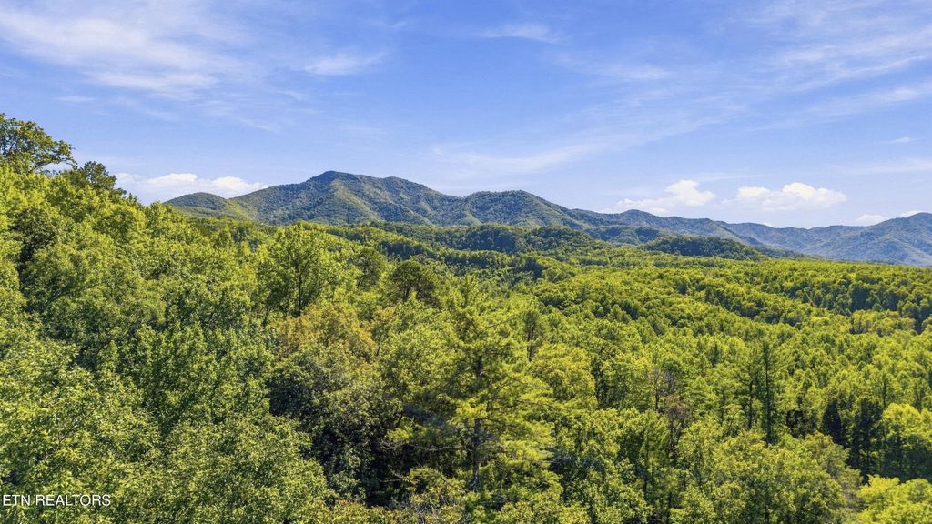 910 Windy Hill Way, Cosby