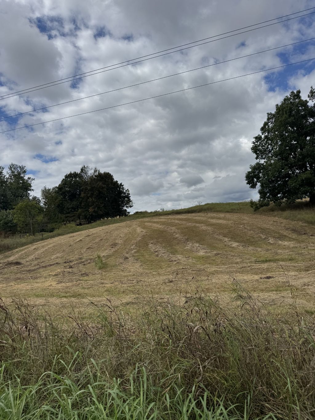 201 Perrigo Ln, Lafayette