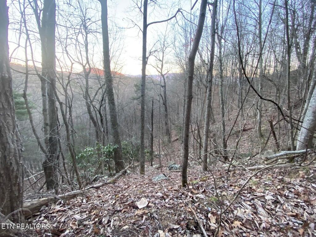 35 Elderberry Drive, Sevierville