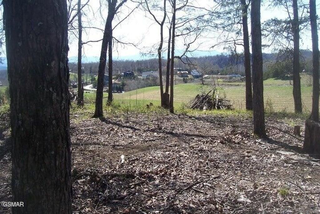 4 Flat Creek Rd, Sevierville
