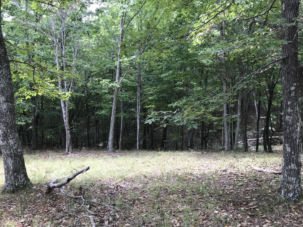 103 Bluffview Drive, Dunlap
