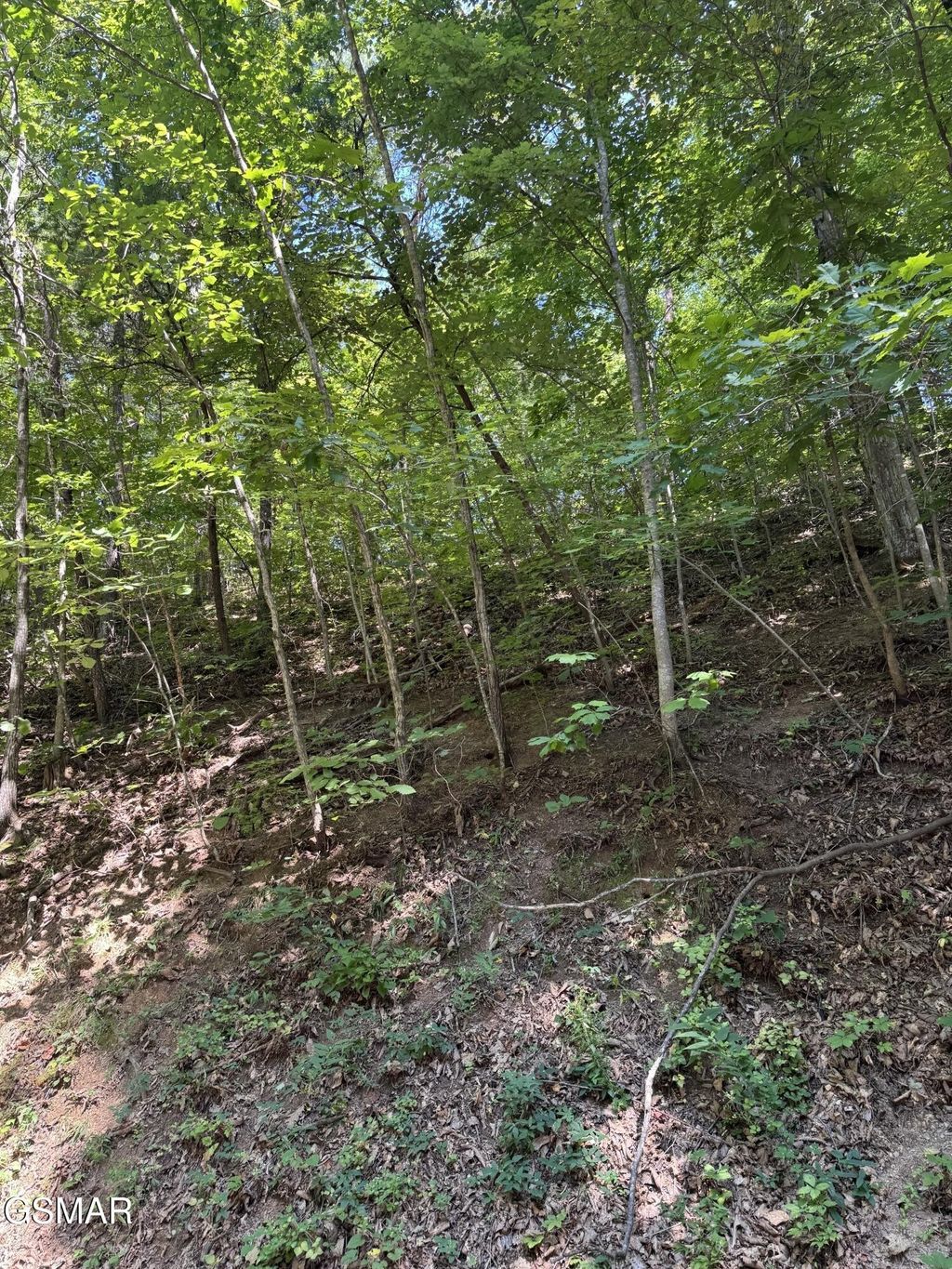 0 Progress Hill Drive, Pigeon Forge