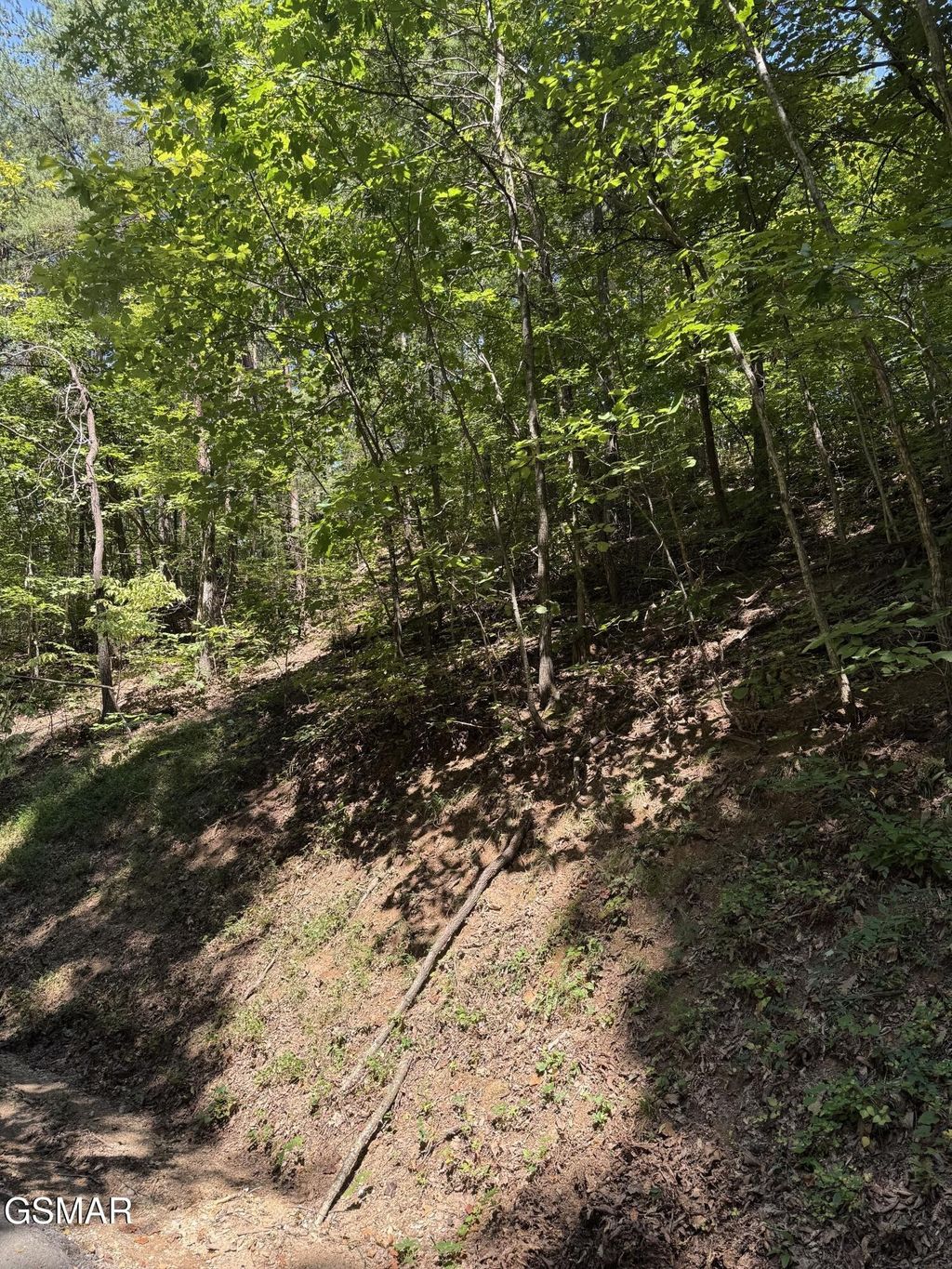 0 Progress Hill Boulevard, Pigeon Forge