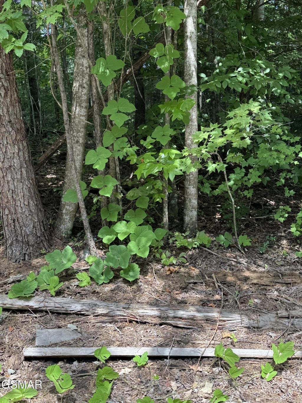 0 B Ogle Lane, Sevierville