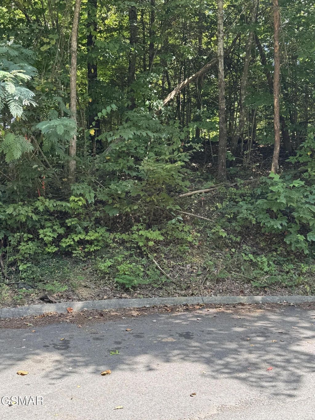 0 Sb Ogle Lane, Pigeon Forge