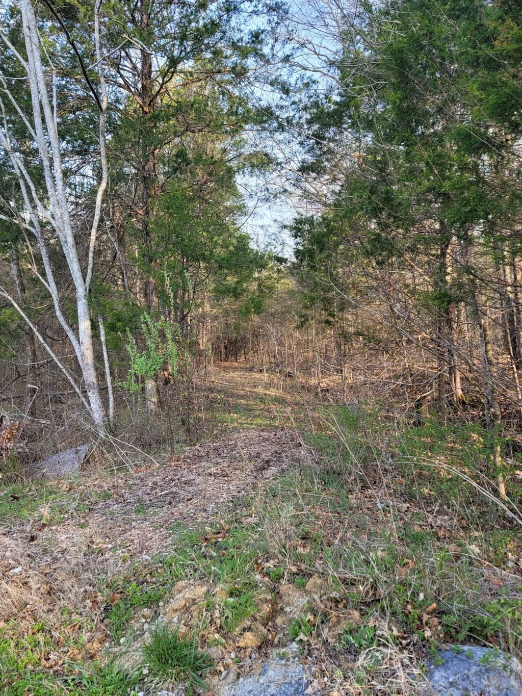 0 Greenfield Estates Dr, Culleoka