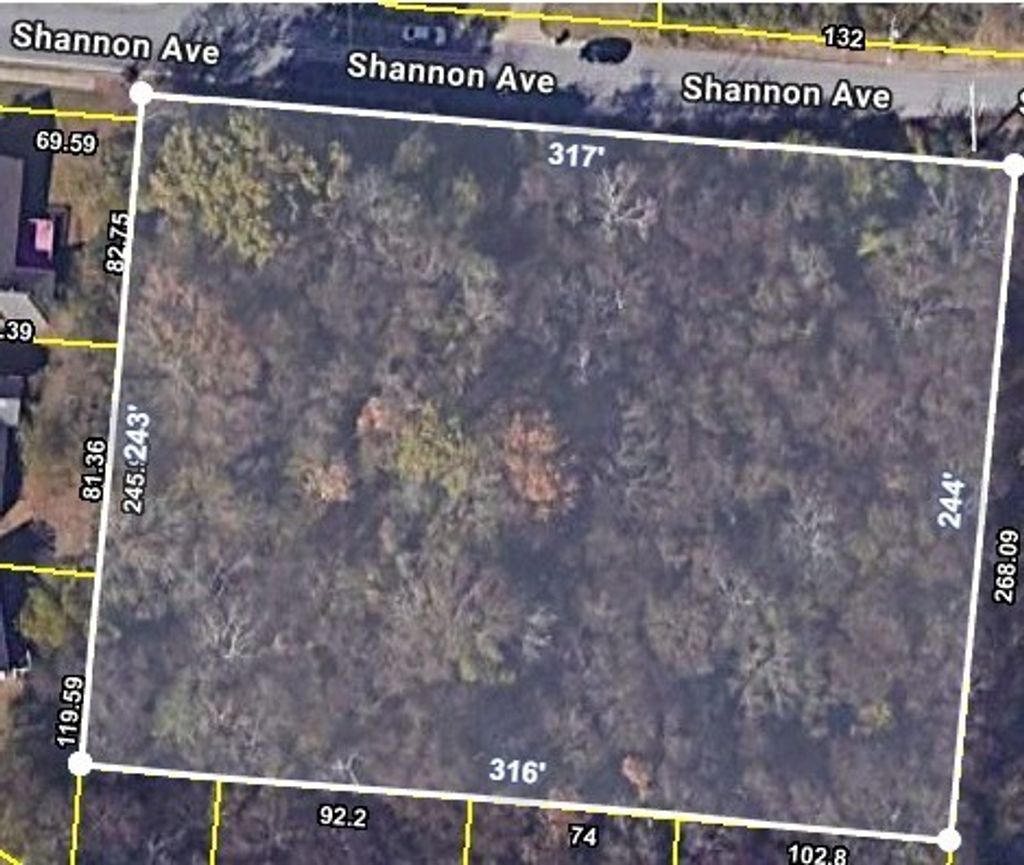 0 Shannon Avenue, Madison