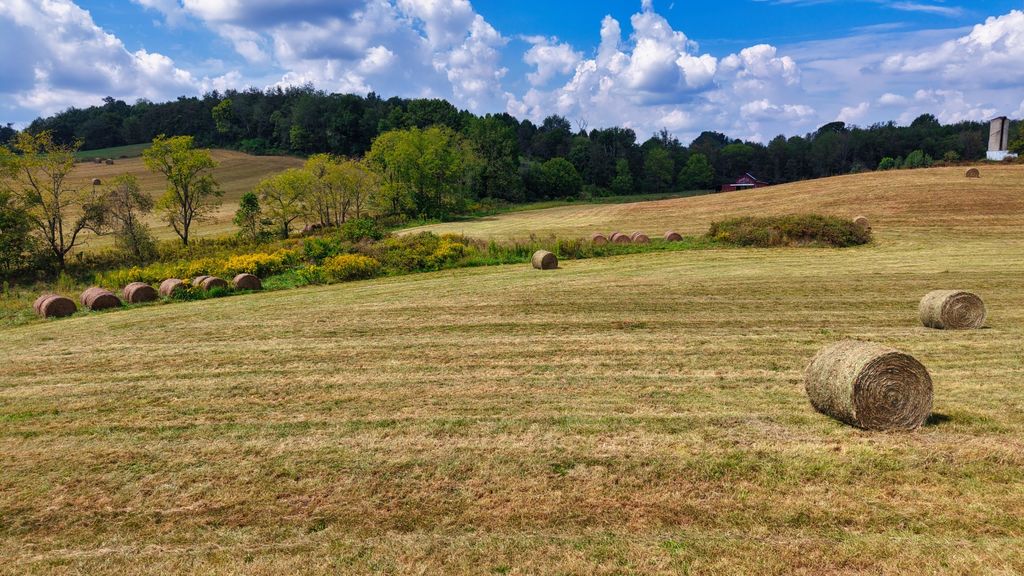 0 Mitchell Ridge Rd, Jonesborough