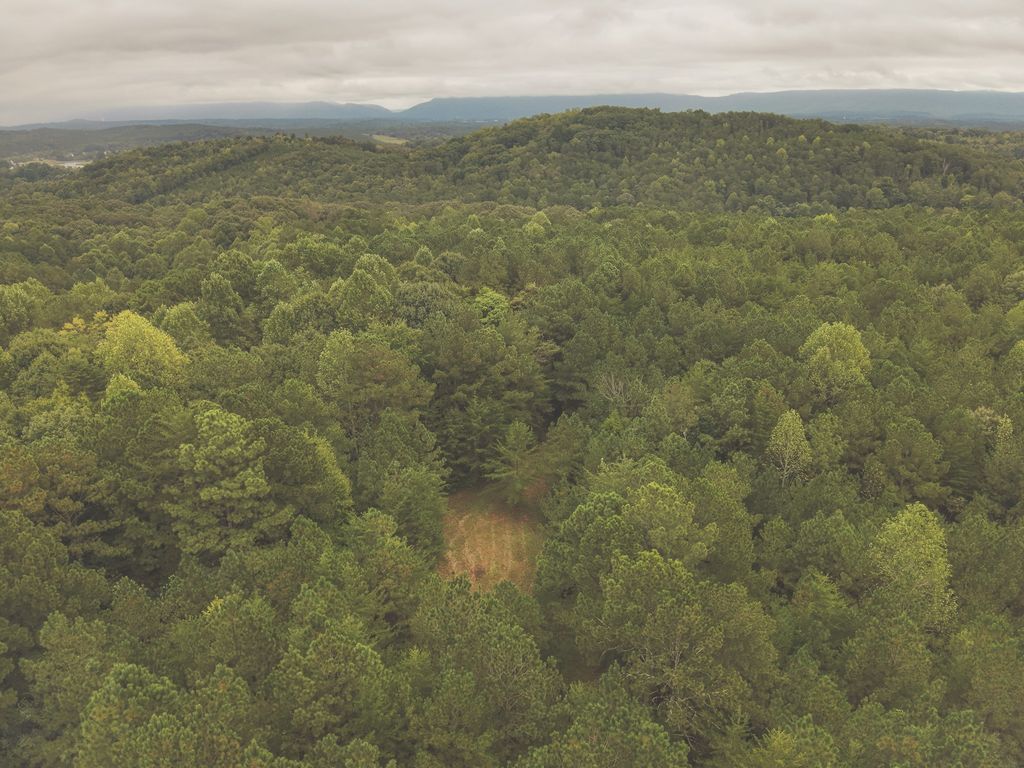 0 Deer Ridge Trail, Charleston