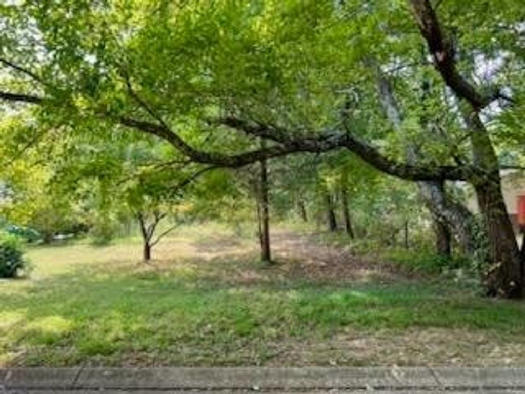 113 Bee Branch Boulevard, Signal Mountain