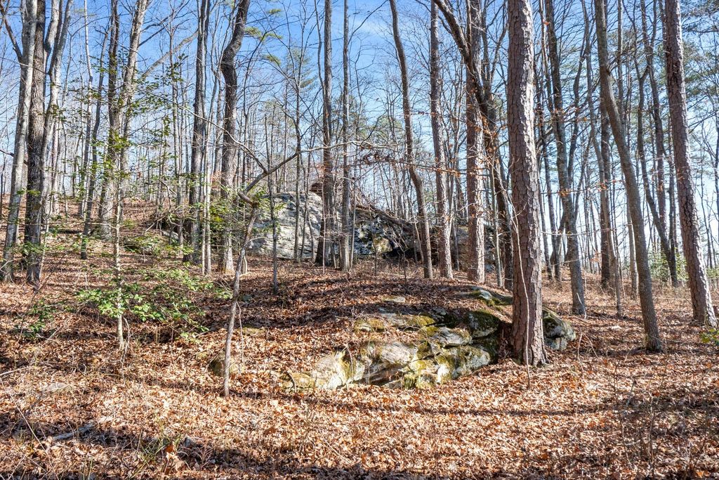 0 Tall Tree Trail, Dunlap