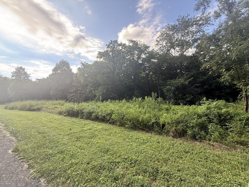 0 Willow Hollow Rd, Clarksville