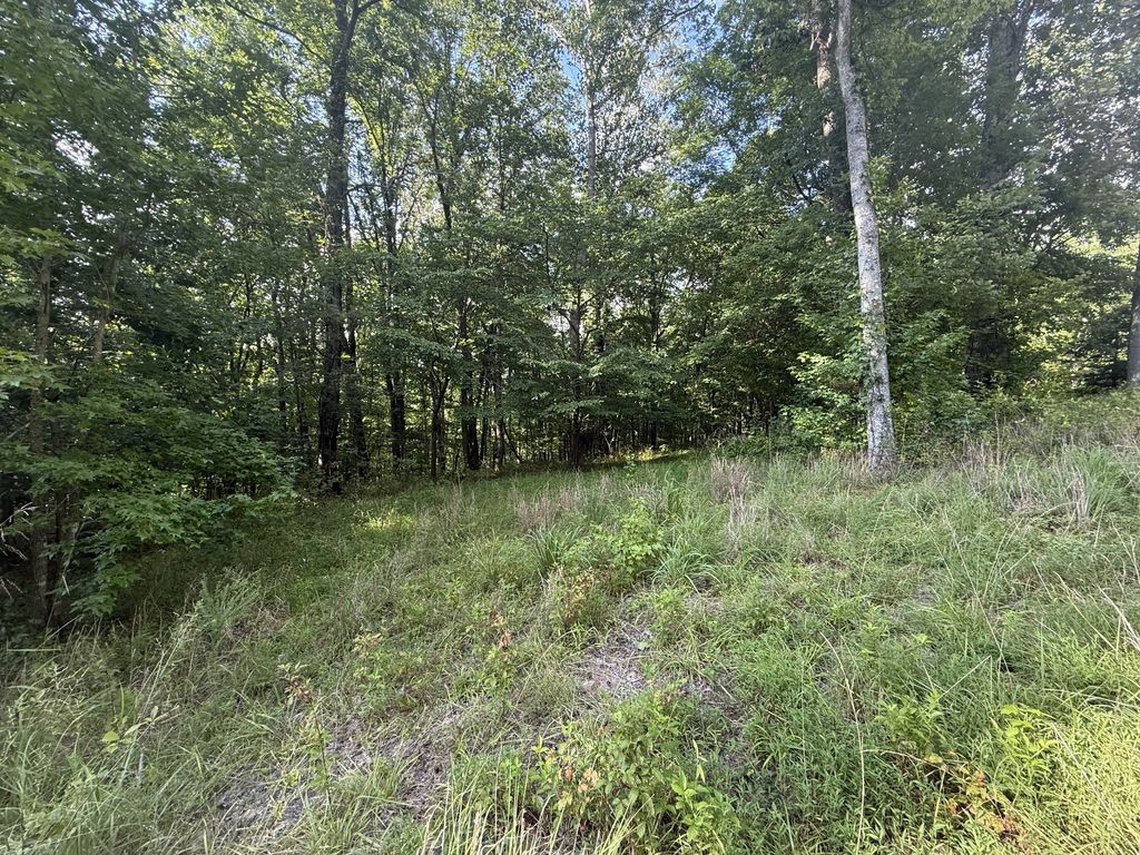 0 Willow Hollow Rd, Clarksville