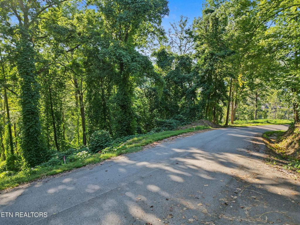 14 Davenport Rd, Gatlinburg