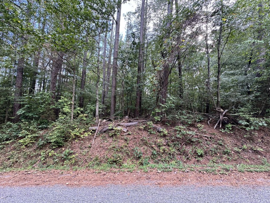 0 Forest Trail, Bumpus Mills