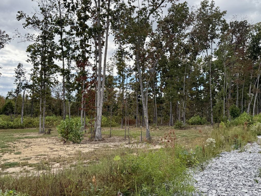 0 Brinkley Rd, Wartrace