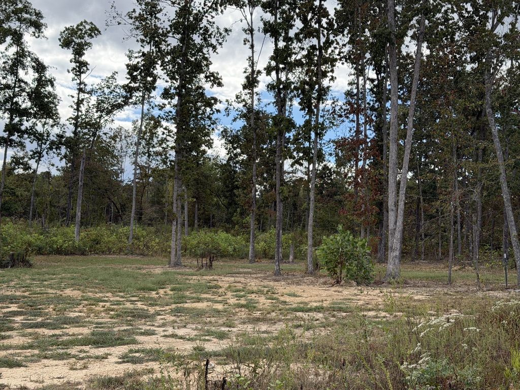 0 Brinkley Rd, Wartrace