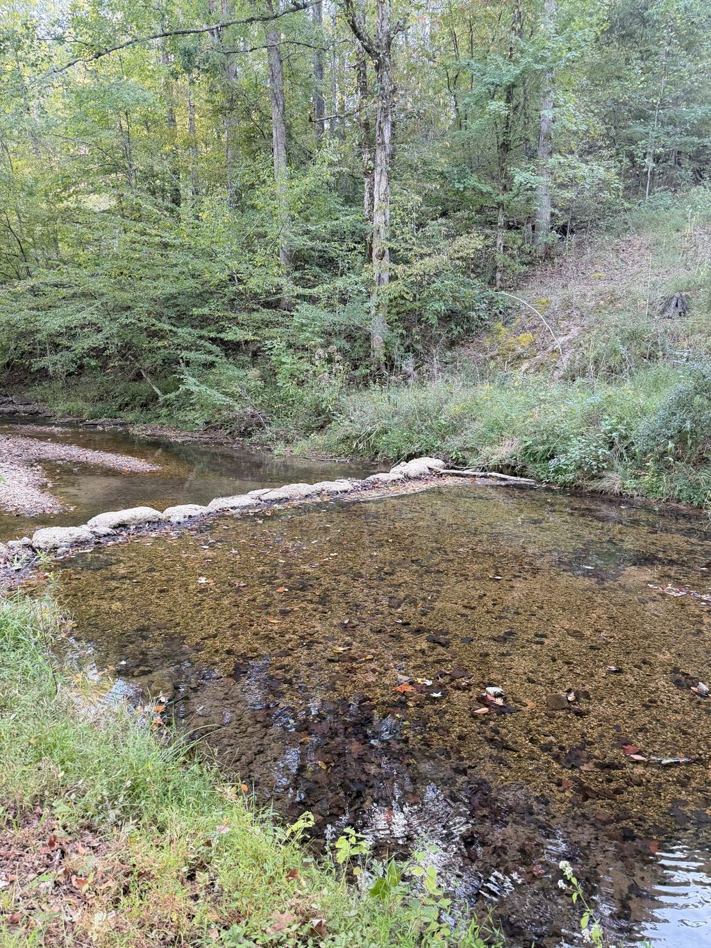 8755 Barren Fork Bridge Rd, Bon Aqua