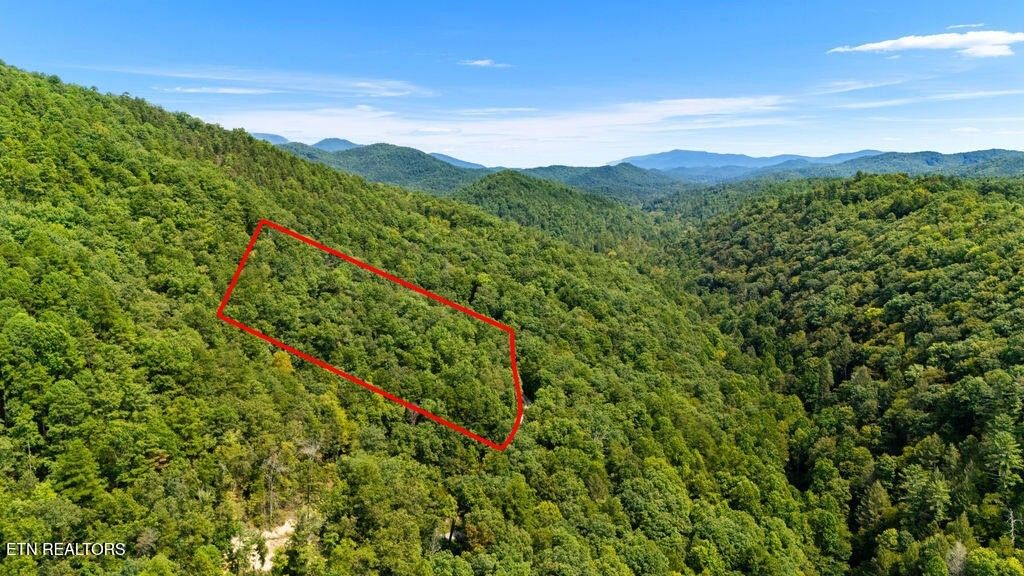 4143 Lumber Jack Way, Sevierville