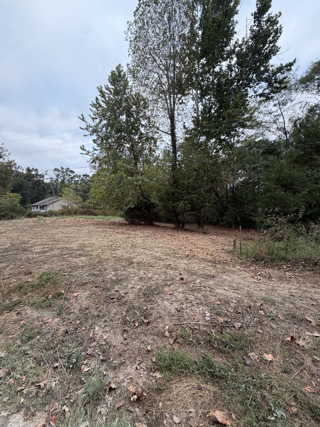 2218 Gina Ln, Mount Pleasant