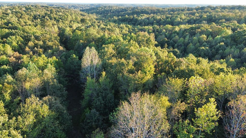 565 Lucas Ridge Ln, Waverly
