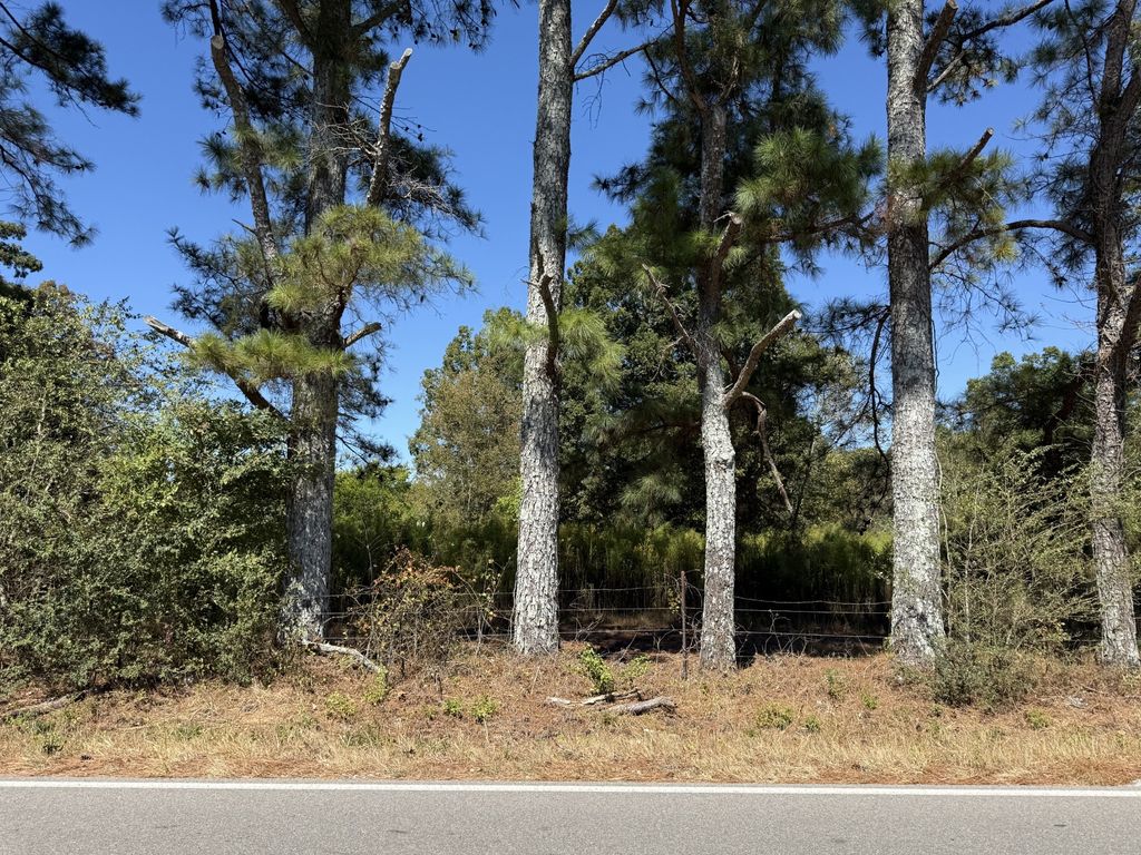 0 Old Florence Pulaski Rd, Leoma