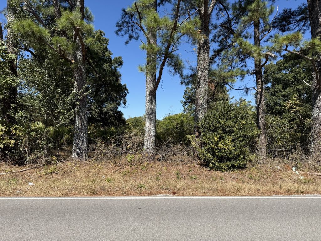 0 Old Florence Pulaski Rd, Leoma