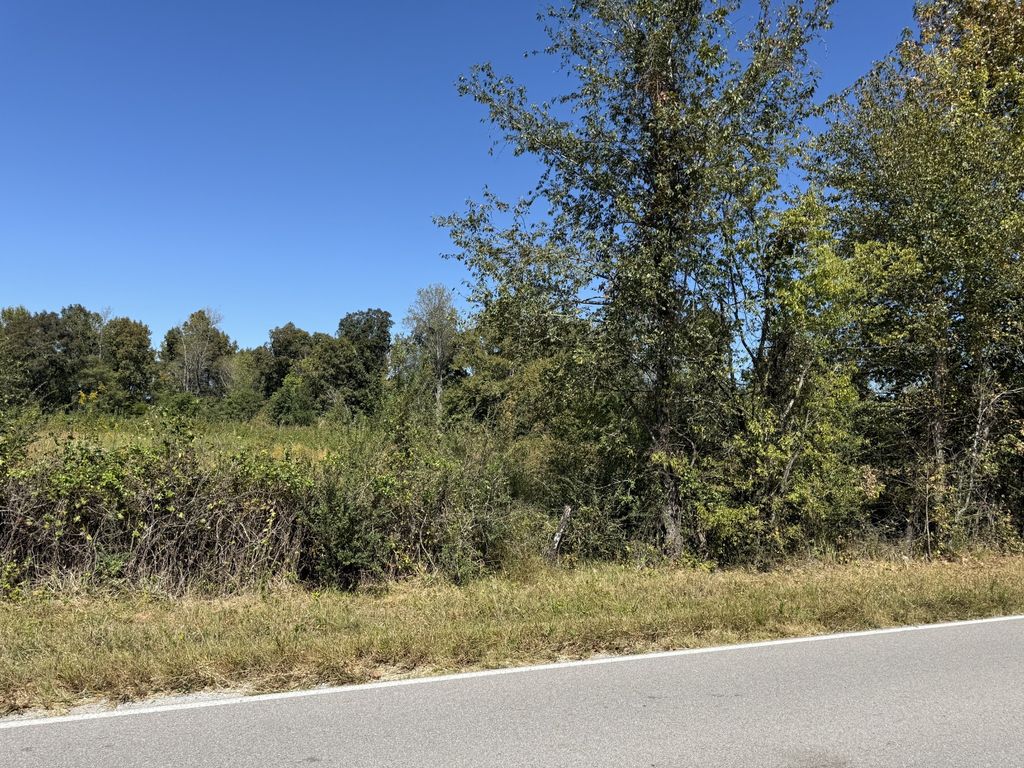 0 Old Florence Pulaski Rd, Leoma