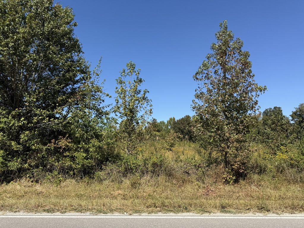 0 Old Florence Pulaski Rd, Leoma
