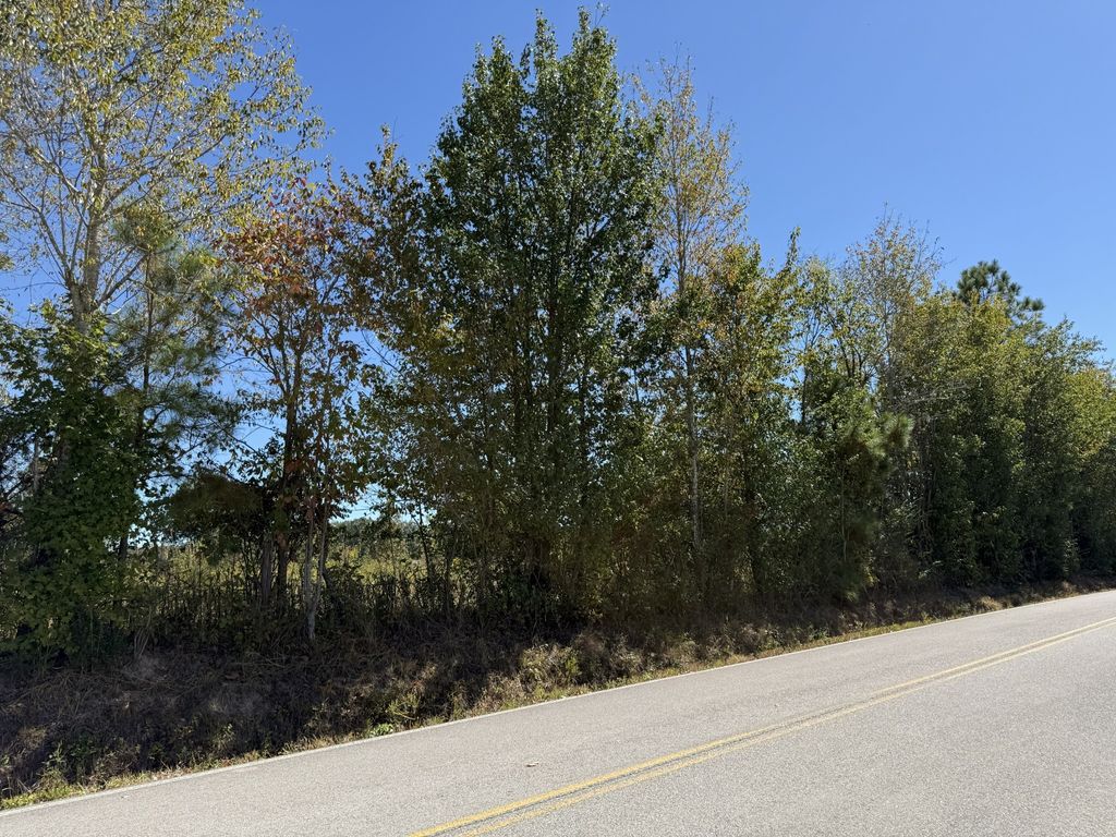 0 Old Florence Pulaski Rd, Leoma