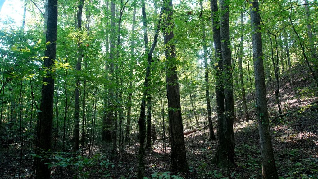 2 Ables Road, Cherokee