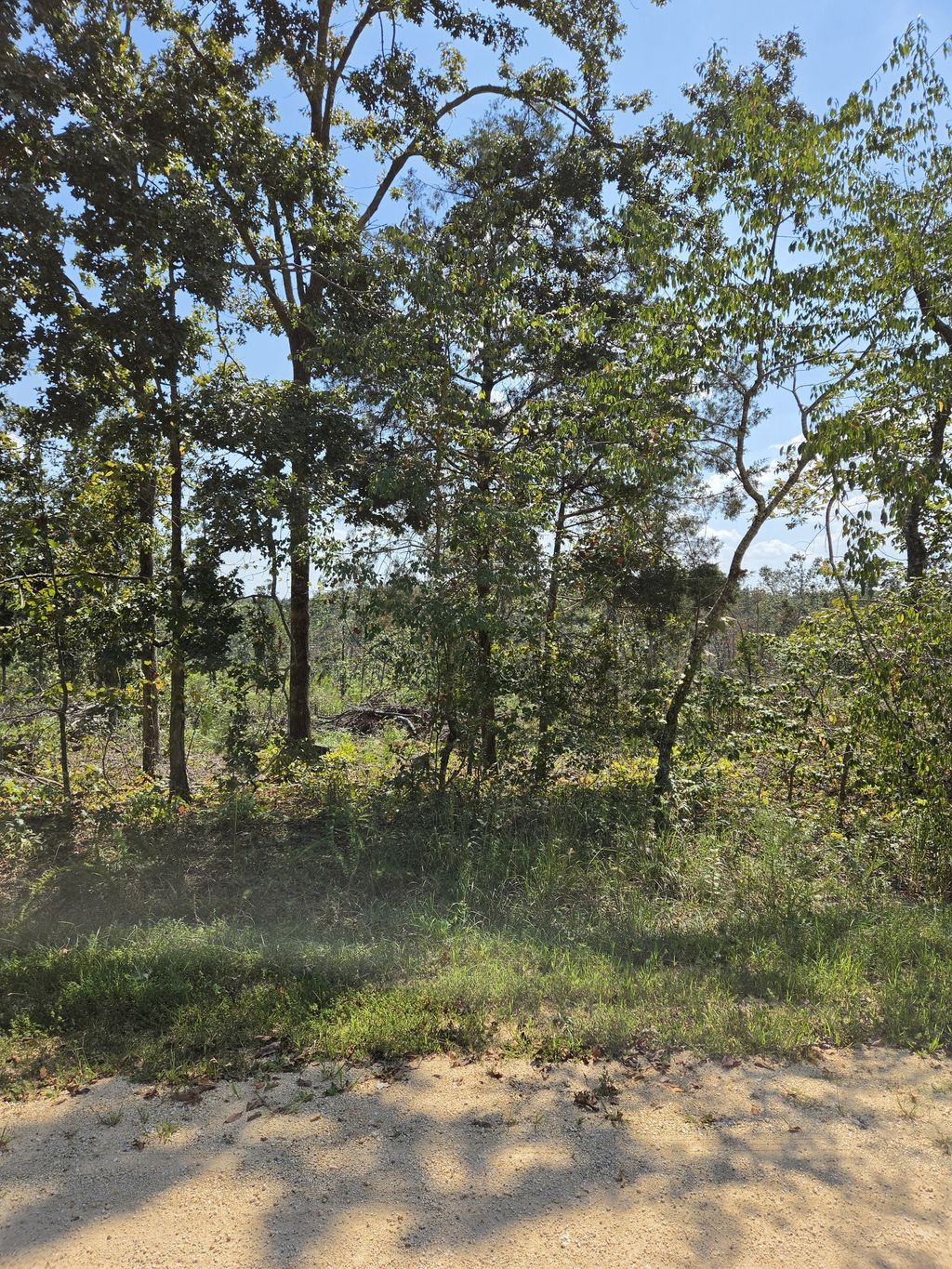 0 Woodland Rd, Hohenwald