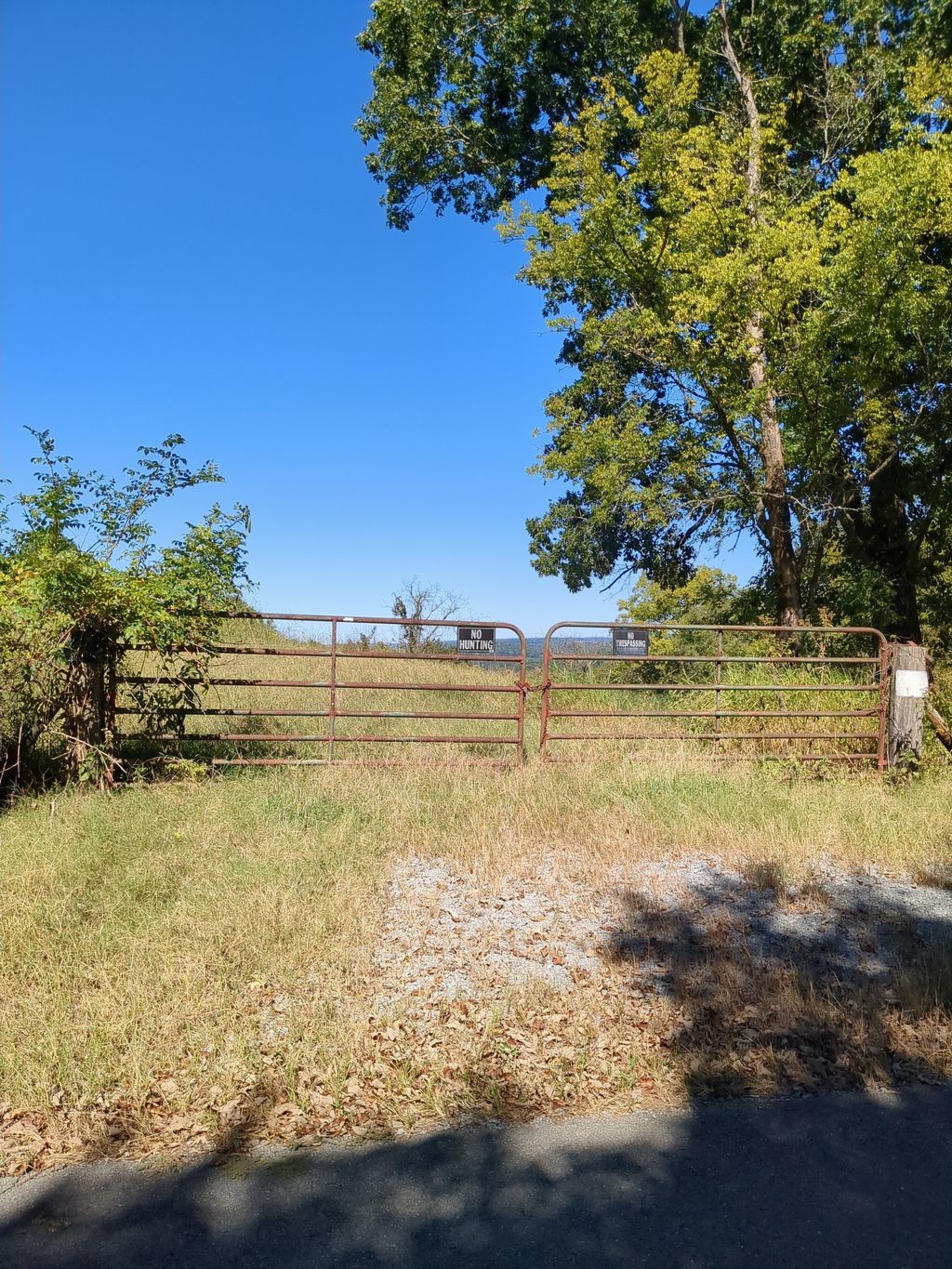 0 Crystal Ridge, Mulberry