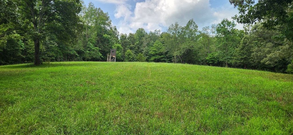 0 E Haleys Creek Rd, Centerville