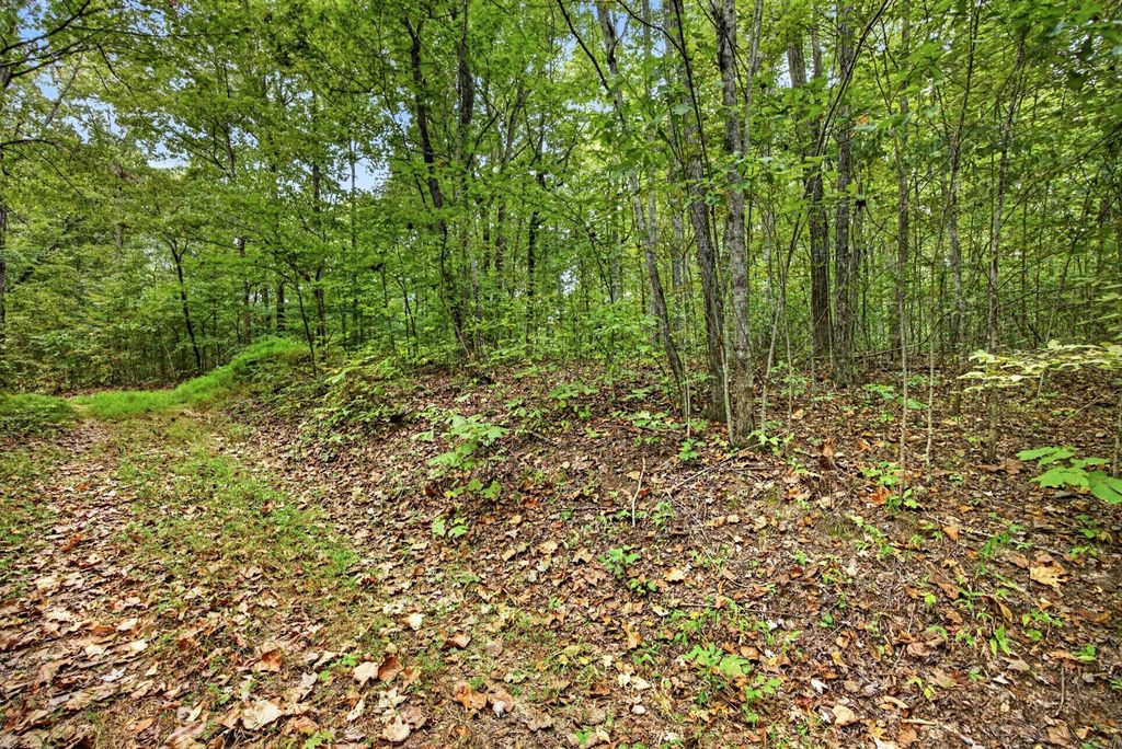 0 Timber Ridge Lane, Celina