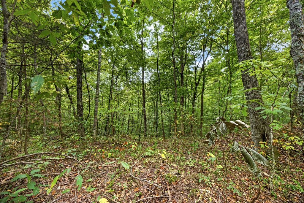 0 Timber Ridge Lane, Celina