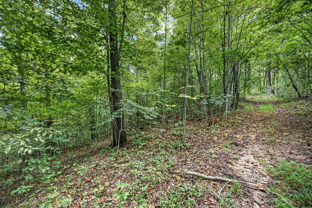 0 Timber Ridge Lane, Celina