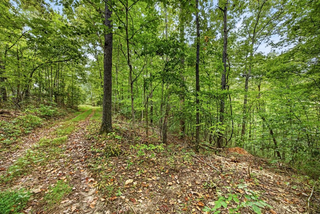 0 Timber Ridge Lane, Celina