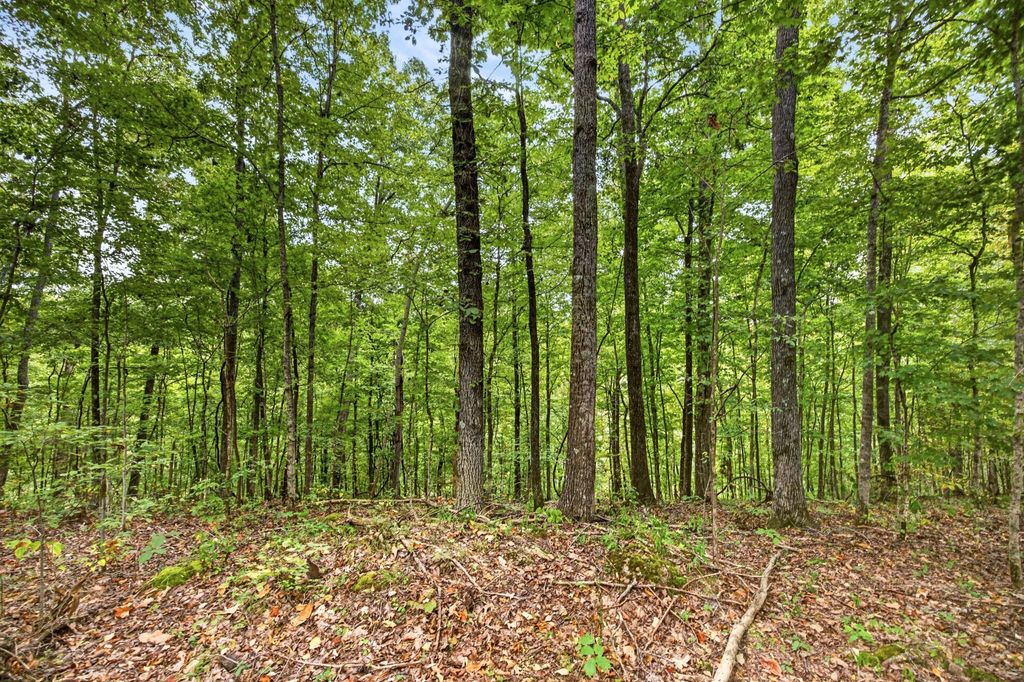 0 Timber Ridge Lane, Celina