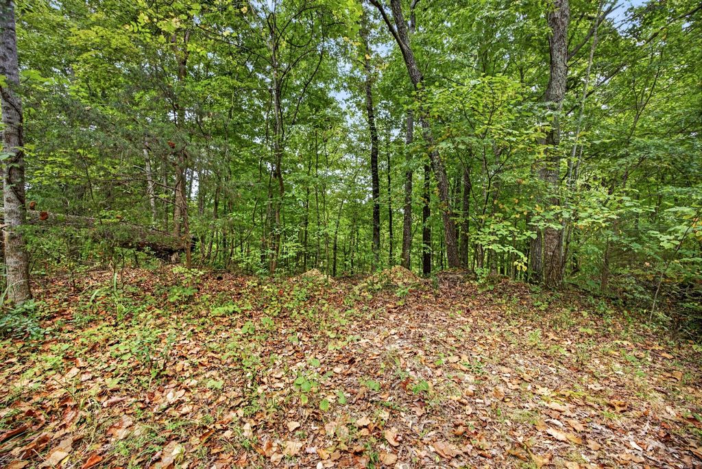 0 Timber Ridge Lane, Celina