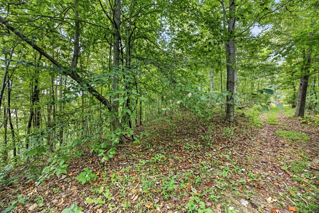 0 Timber Ridge Lane, Celina